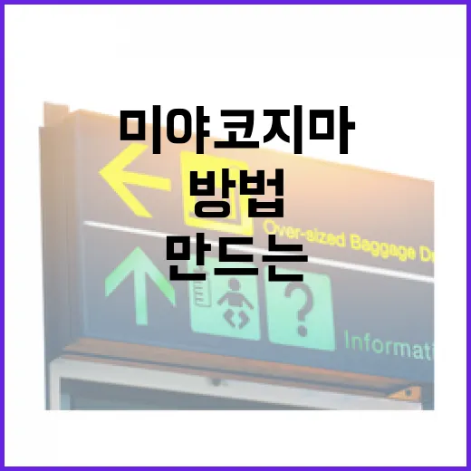 미야코지마에서 특별한 순간을 만드는 방법 - 요약