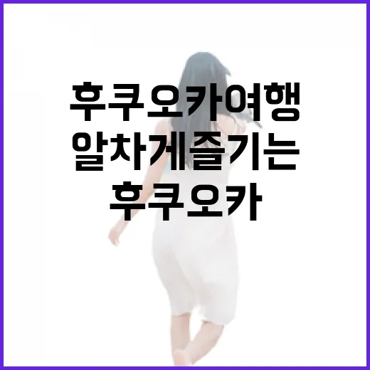 후쿠오카 여행을 알차게 즐기는 방법 - 요약