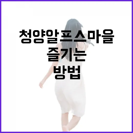 청양 알프스마을에서 즐기는 힐링 여행 방법 - 요약