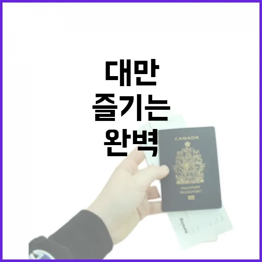 대만 여행을 완벽하게 즐기는 방법 - 요약