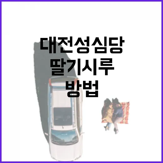대전 성심당에서 딸기시루 맛보는 방법 - 요약