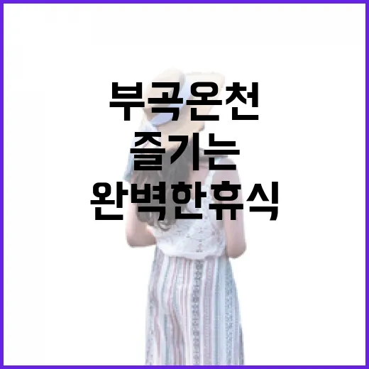 부곡온천에서 완벽한 휴식을 즐기는 방법 - 요약