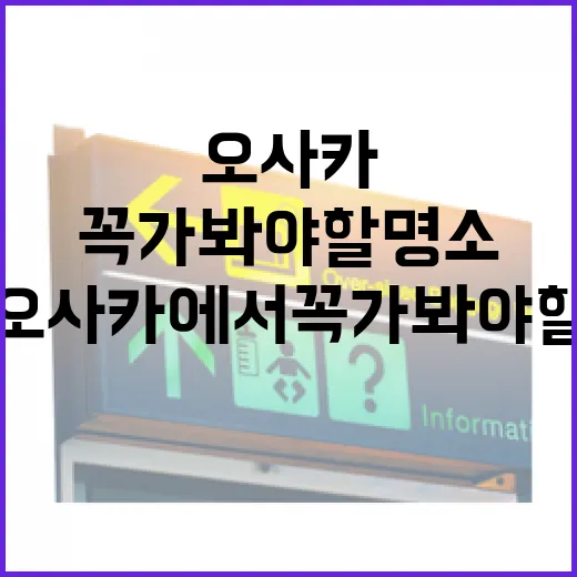 오사카에서 꼭 가봐야 할 명소를 즐기는 방법 - 요약