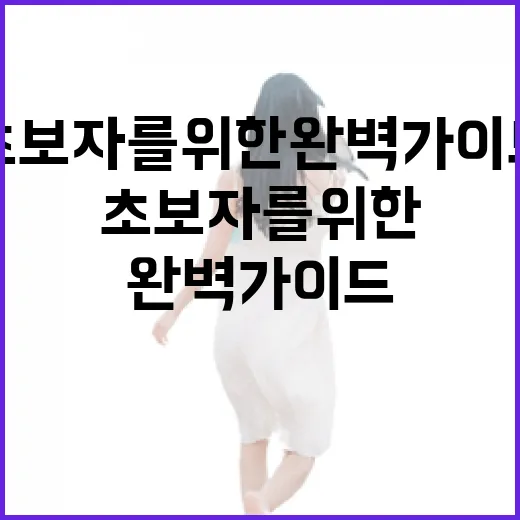 푸꾸옥에서 낙원을 즐기는 방법: 초보자를 위한 완벽 가이드 - 요약