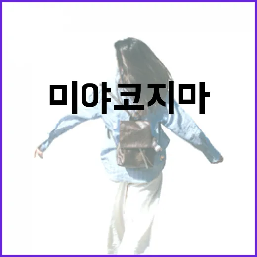 미야코지마를 완벽히 즐기는 방법 - 요약