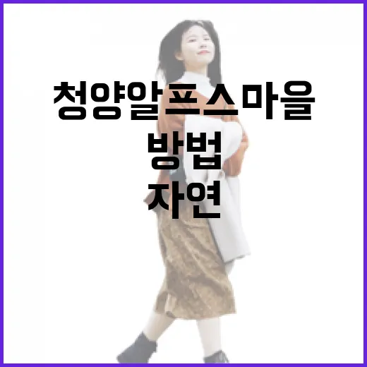 청양 알프스마을에서 자연을 만끽하는 방법 - 요약