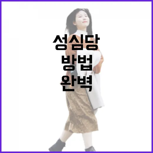 성심당을 방문하는 완벽한 방법 - 요약