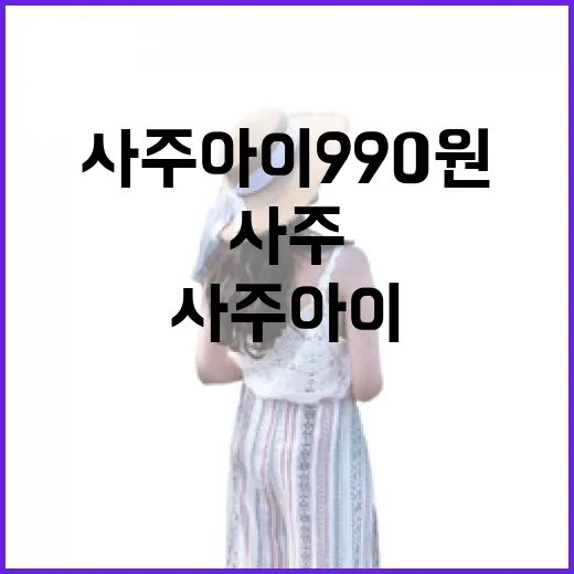 사주아이 990원으로 사주 보는 방법 - 요약