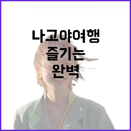 나고야 여행을 완벽하게 즐기는 방법 - 요약