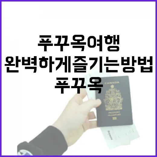 푸꾸옥 여행을 완벽하게 즐기는 방법 - 요약