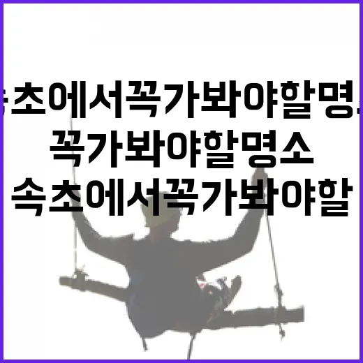 속초에서 꼭 가봐야 할 명소를 경험하는 방법 - 요약