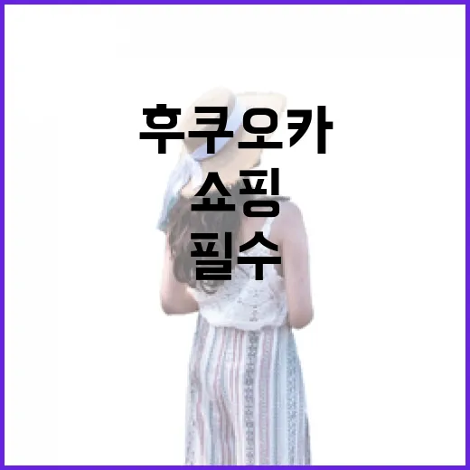 후쿠오카에서 쇼핑하는 방법: 필수 가이드 - 요약