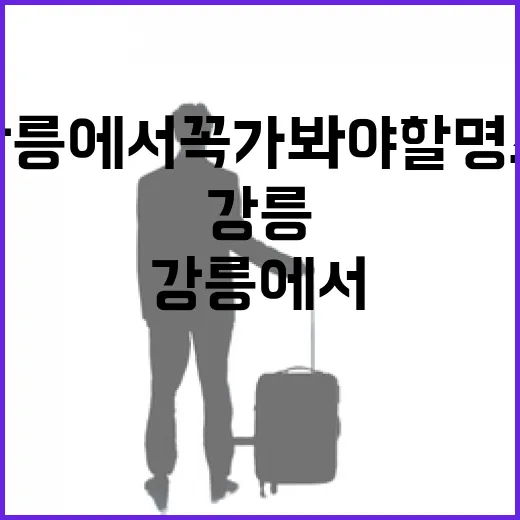강릉에서 꼭 가봐야 할 명소를 탐험하는 방법 - 요약