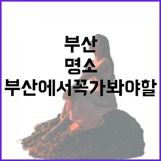 부산에서 꼭 가봐야 할 명소를 탐험하는 방법 - 요약