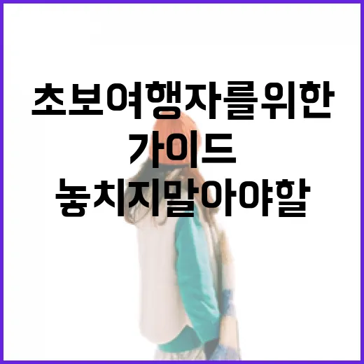 포항에서 놓치지 말아야 할 명소들: 초보 여행자를 위한 가이드 - 요약