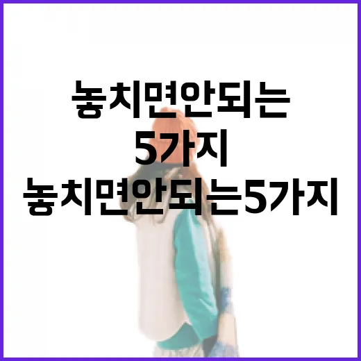가마쿠라 여행에서 놓치면 안 되는 5가지 경험 - 요약