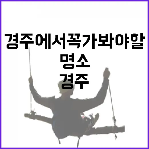 경주에서 꼭 가봐야 할 명소들: 여행자를 위한 안내서 - 요약