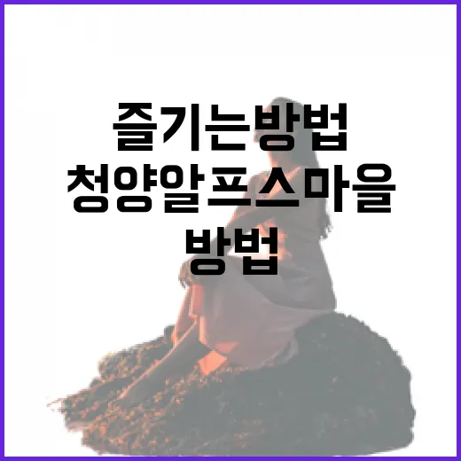청양 알프스마을에서 특별한 여행을 즐기는 방법 - 요약
