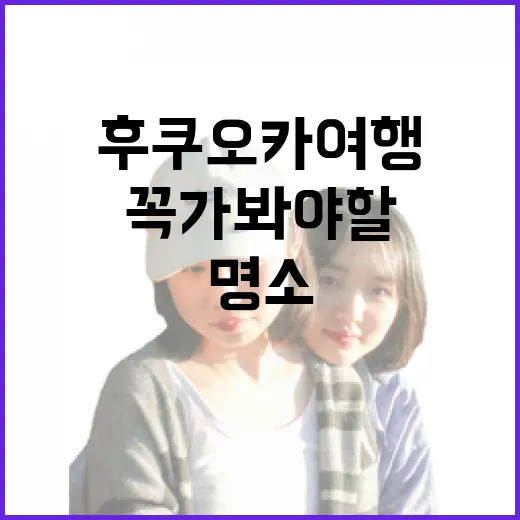 후쿠오카 여행: 꼭 가봐야 할 명소들 - 요약