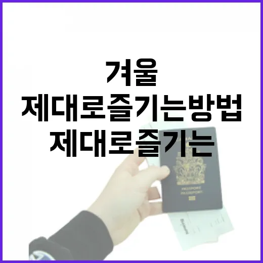 겨울 여행지를 제대로 즐기는 방법 - 요약