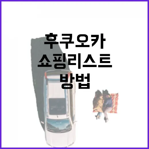 후쿠오카에서 쇼핑리스트 완성하는 방법 - 요약