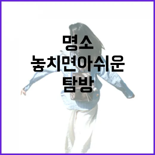 경주에서 놓치면 아쉬운 명소 탐방 방법 - 요약