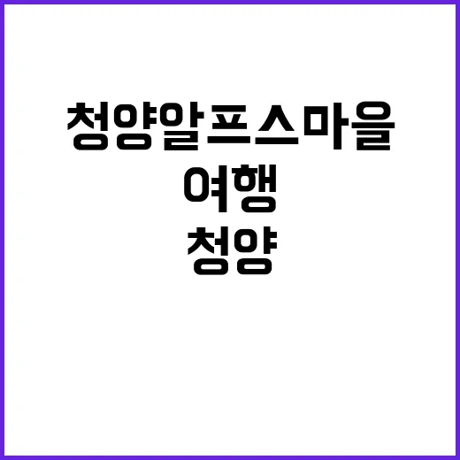 청양 알프스마을에서…