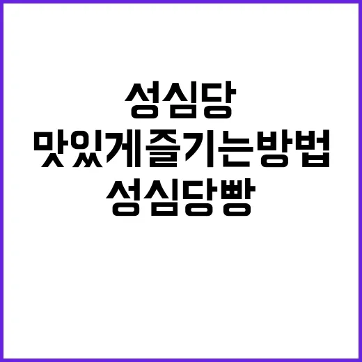 대전 성심당 빵 맛…