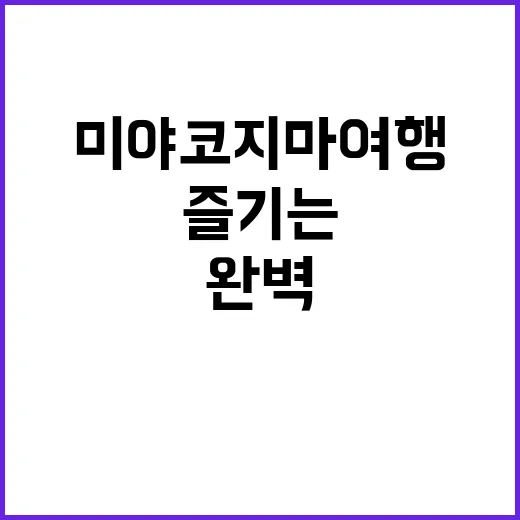 미야코지마 여행을 …