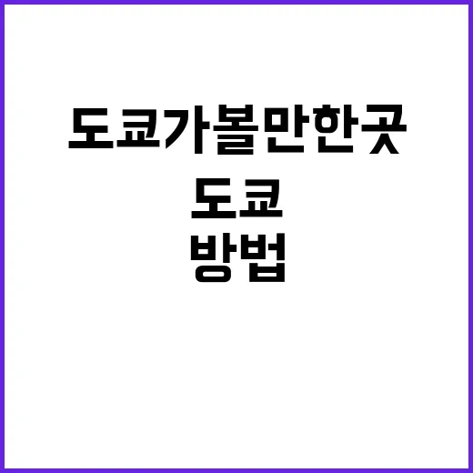 도쿄 가볼만한 곳을…