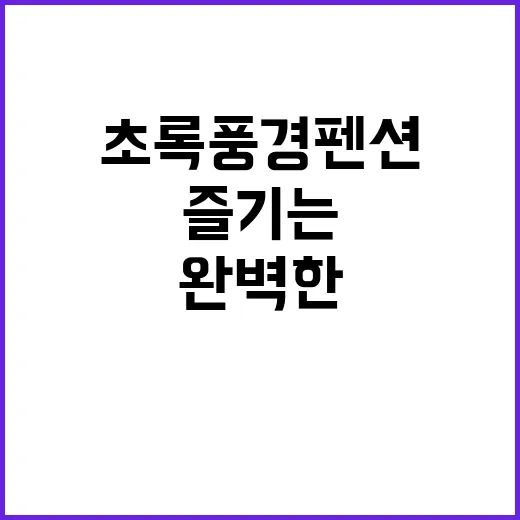 초록풍경펜션에서 완…