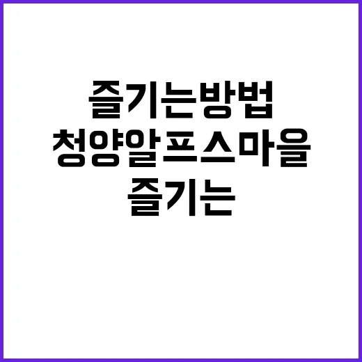 청양 알프스마을에서…