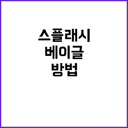 스플래시베이를 최대한 즐기는 방법