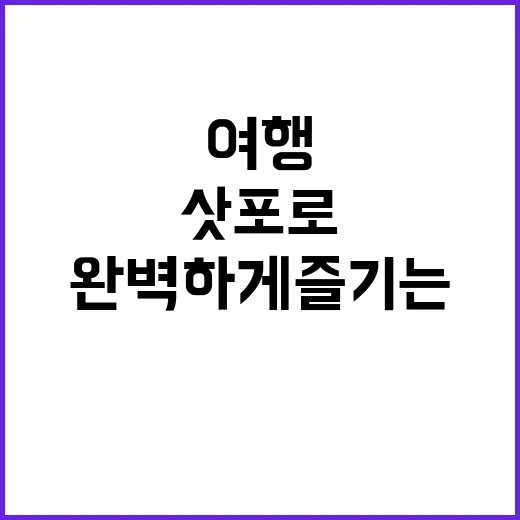 삿포로 여행을 완벽하게 즐기는 방법