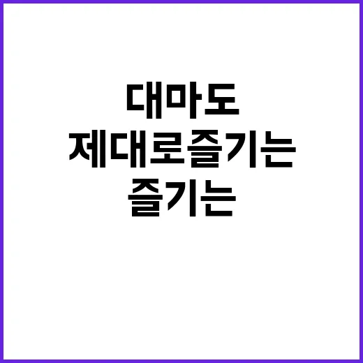 대마도를 제대로 즐기는 방법