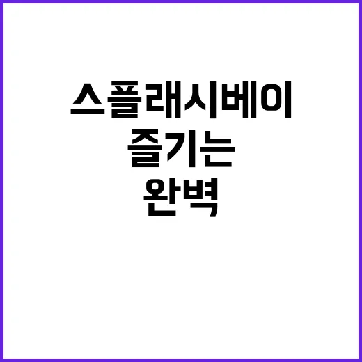 스플래시베이를 완벽하게 즐기는 방법