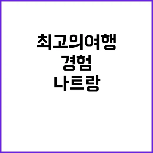 나트랑에서 최고의 여행 경험을 만드는 방법