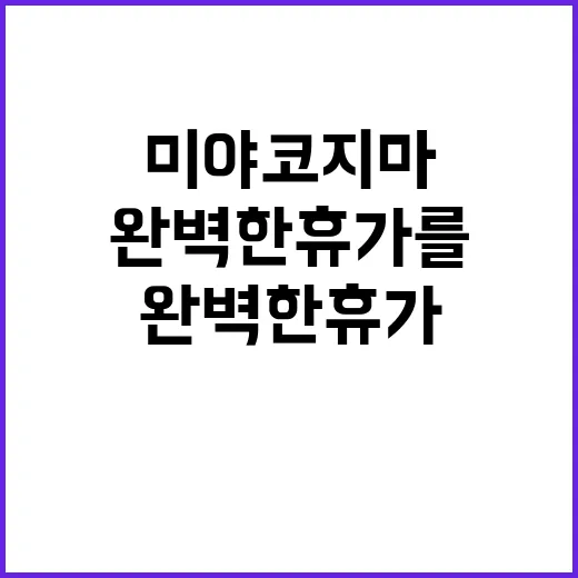 미야코지마에서 완벽한 휴가를 보내는 방법
