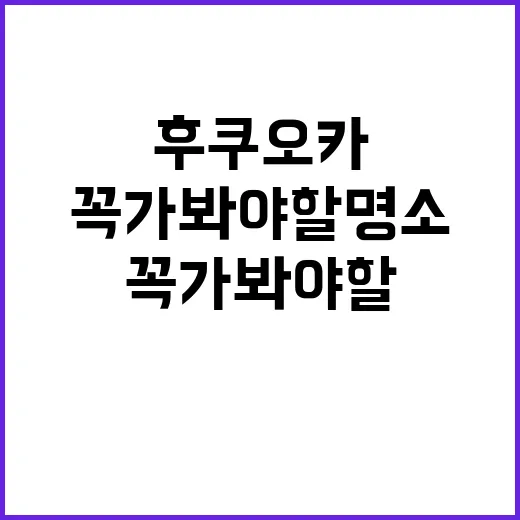 후쿠오카에서 꼭 가봐야 할 명소 탐방법