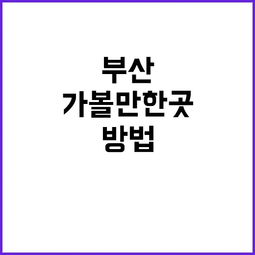 초보자를 위한 부산…