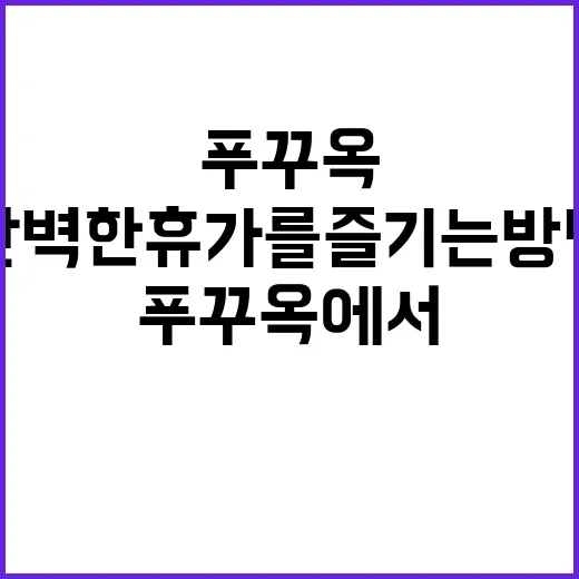 푸꾸옥에서 완벽한 휴가를 즐기는 방법