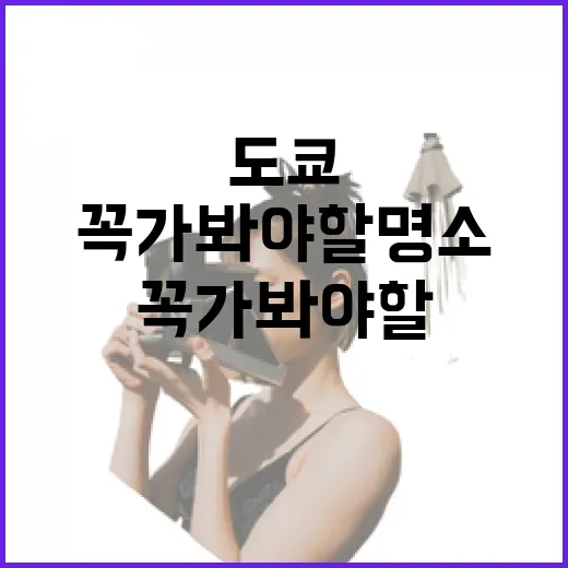 도쿄에서 꼭 가봐야 할 명소를 탐험하는 방법 - 요약