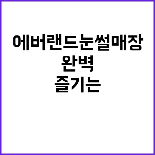 에버랜드 눈썰매장을 완벽하게 즐기는 방법