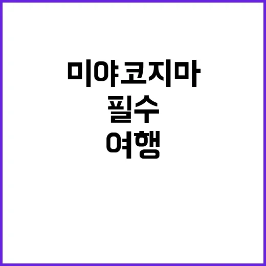 미야코지마 여행 준비하는 방법: 필수 팁과 추천 명소