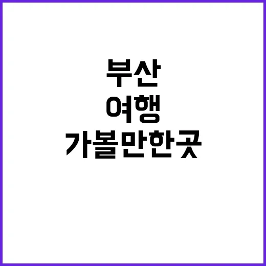 부산 가볼만한 곳을 여행하는 방법