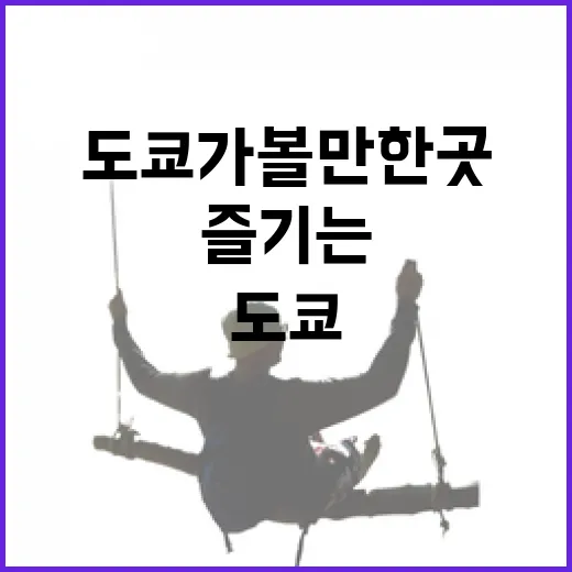 도쿄 가볼만한 곳을 알차게 즐기는 방법 - 요약