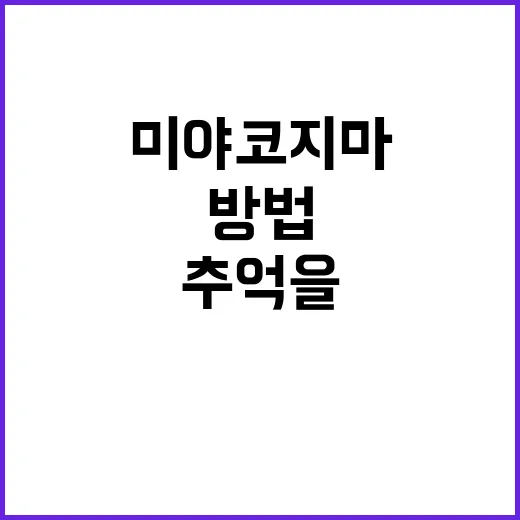 미야코지마에서 잊지 못할 추억을 만드는 방법