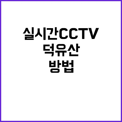 덕유산을 안전하게 탐방하는 방법: 실시간 CCTV 활용하기