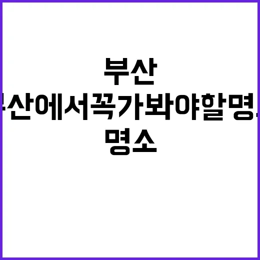 부산에서 꼭 가봐야 할 명소를 즐기는 방법