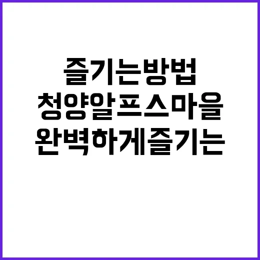 청양 알프스마을을 완벽하게 즐기는 방법
